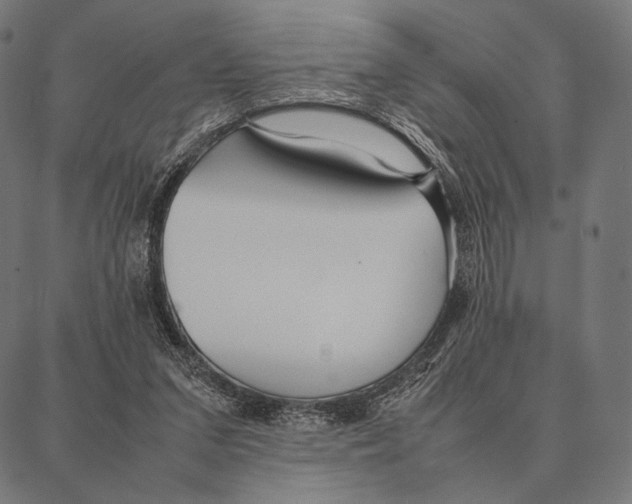 X0000087360207200705181200