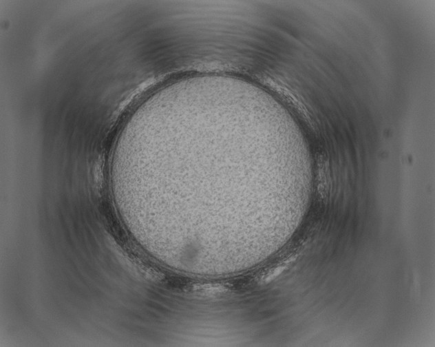 X0000087360208200705181200