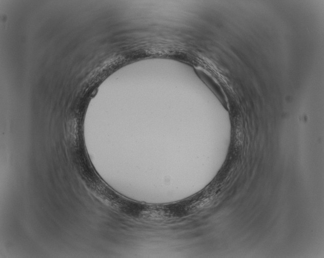 X0000087360211200705181200