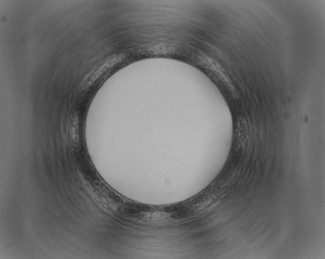 X0000087360212200705181200