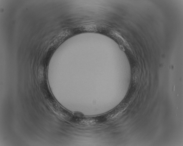 X0000087360213200705181200