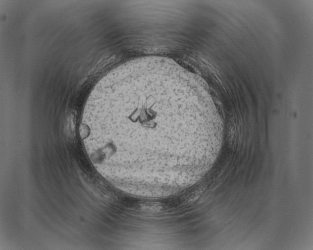 X0000087360214200705181200