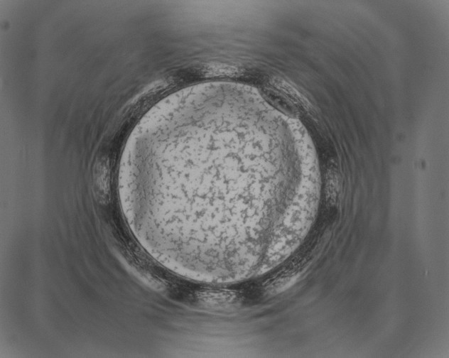 X0000087360215200705181200