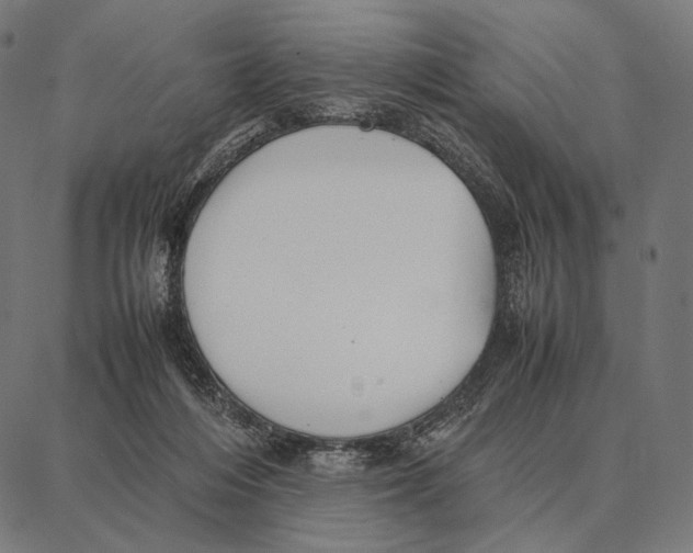 X0000087360216200705181159