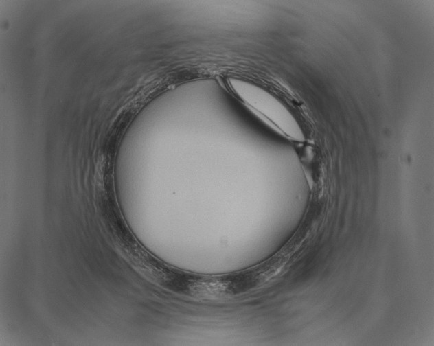 X0000087360217200705181159