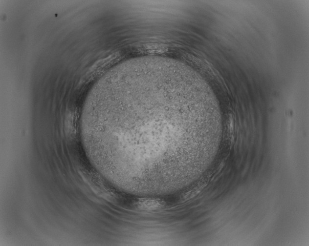 X0000087360218200705181159