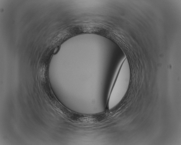 X0000087360219200705181159