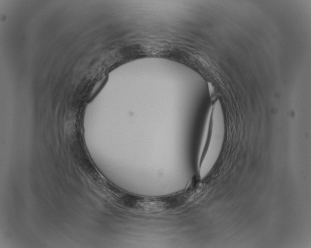 X0000087360221200705181159