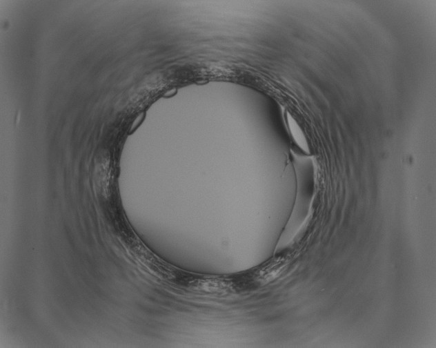 X0000087360223200705181159