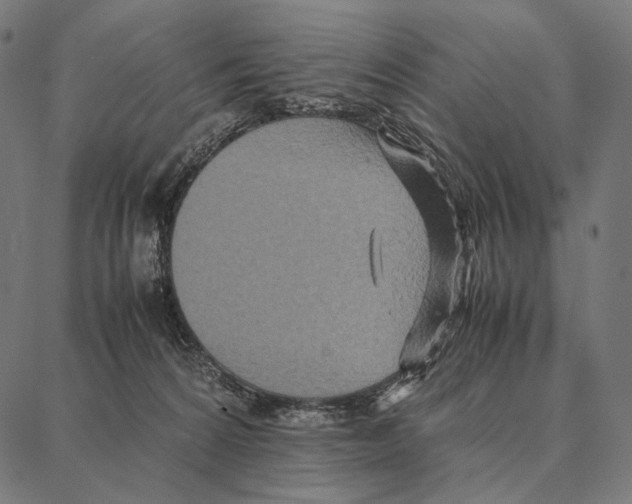 X0000087360224200705181159