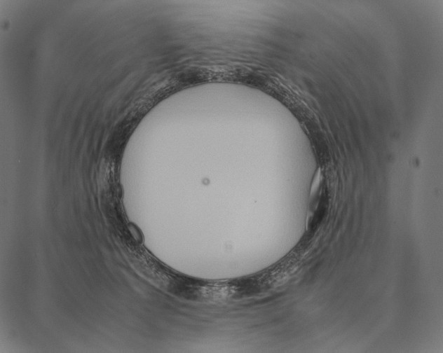 X0000087360225200705181159