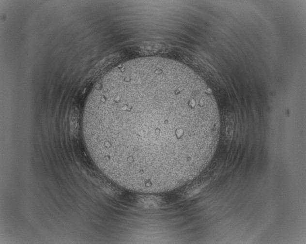 X0000087360226200705181159