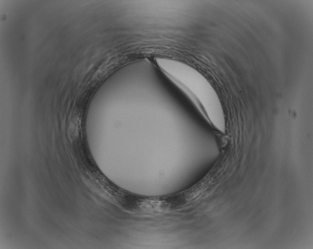 X0000087360227200705181159