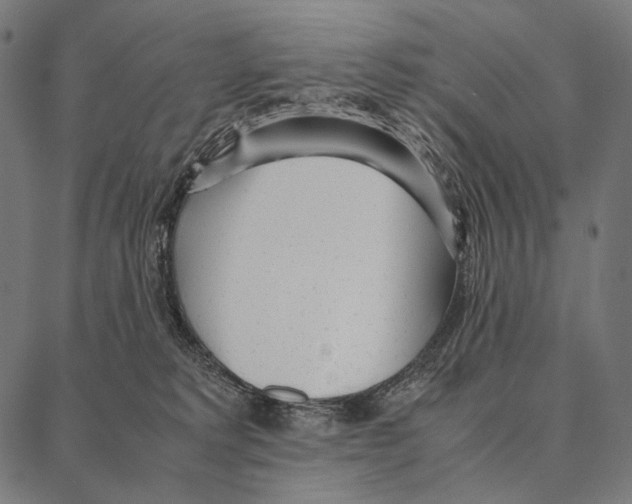 X0000087360229200705181159