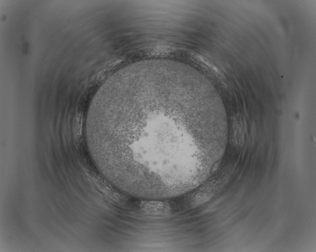 X0000087360230200705181159