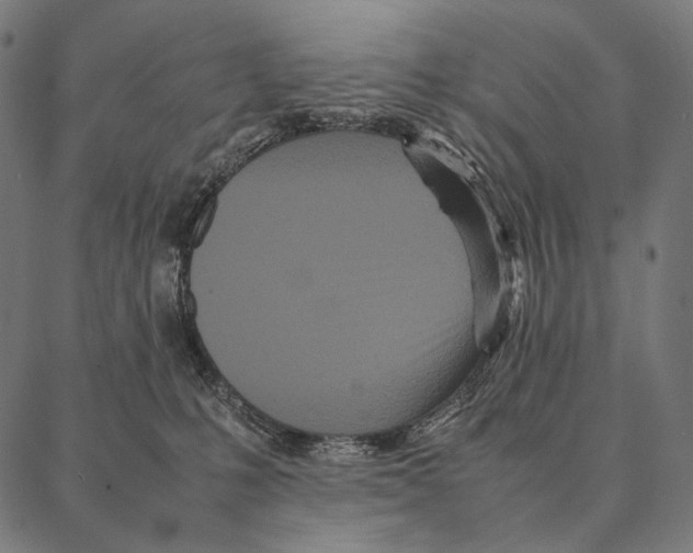 X0000087360231200705181159