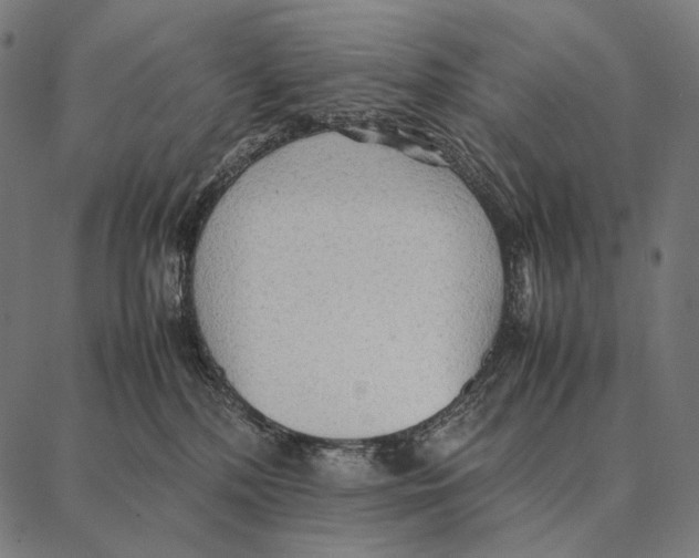 X0000087360232200705181159