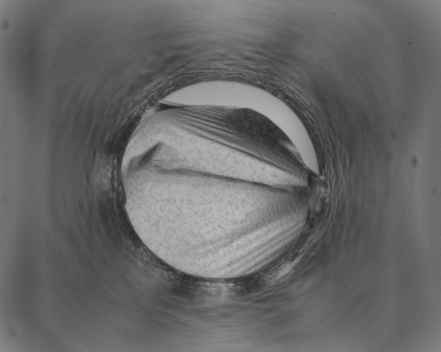 X0000087360233200705181159