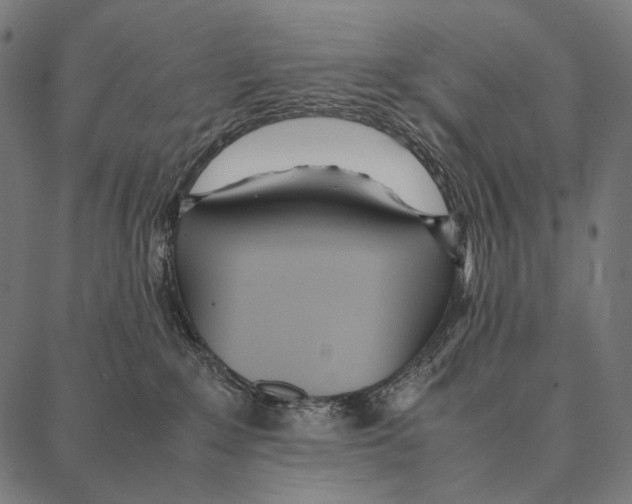 X0000087360235200705181159