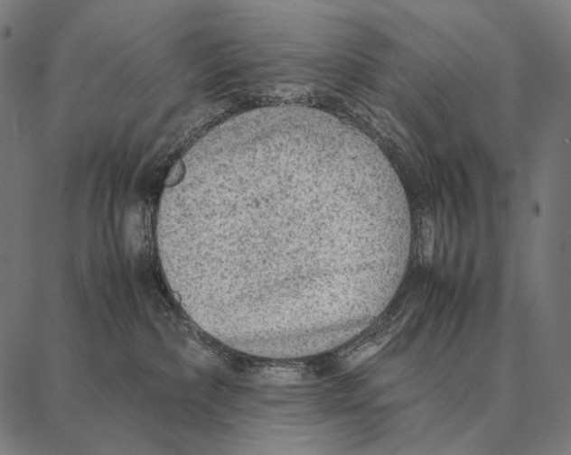 X0000087360236200705181159