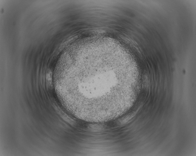 X0000087360238200705181159