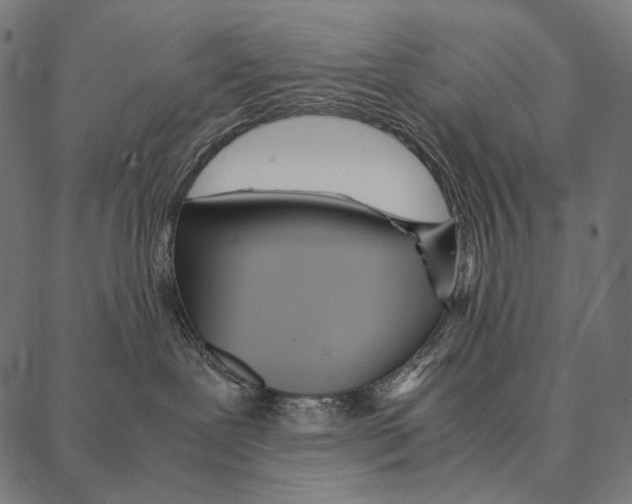 X0000087360239200705181159