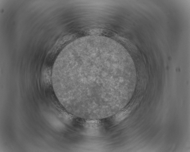 X0000087360240200705181159