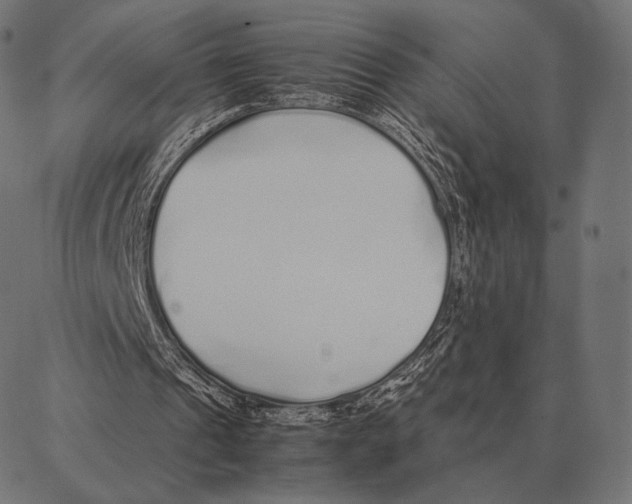 X0000087360241200705181158