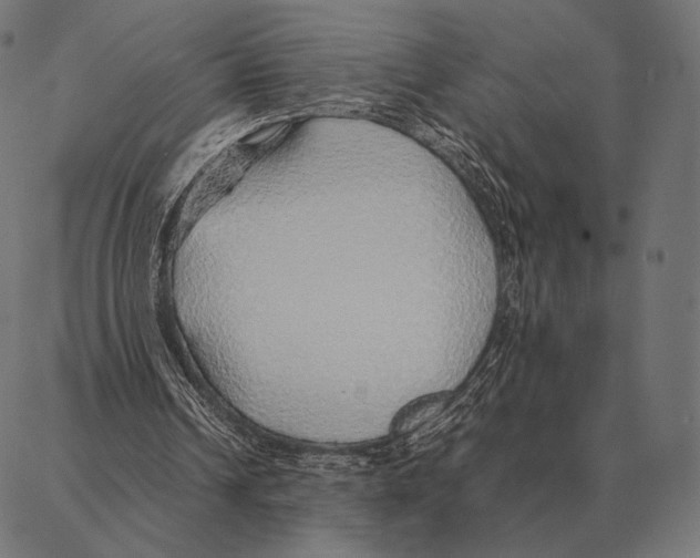 X0000087360242200705181158