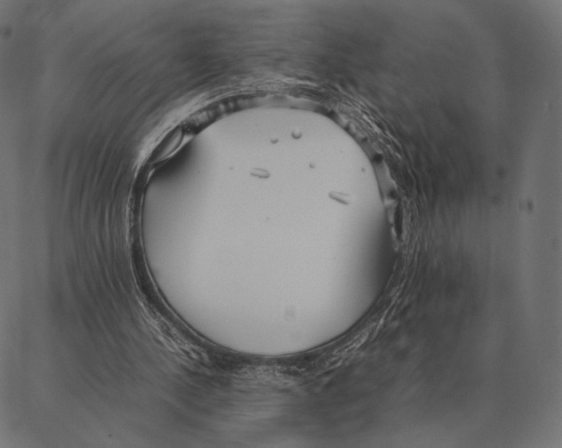 X0000087360244200705181158