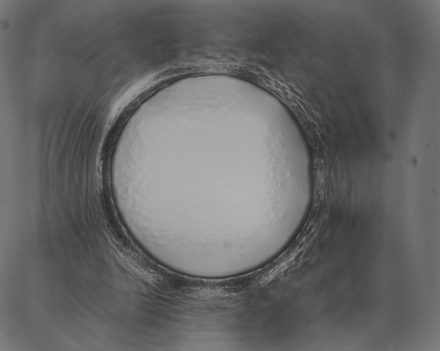 X0000087360246200705181158