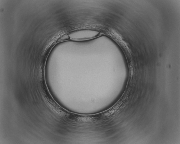 X0000087360250200705181158