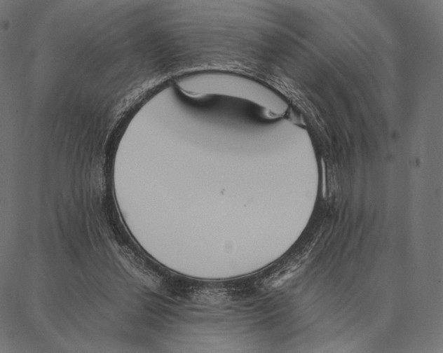 X0000087360252200705181159