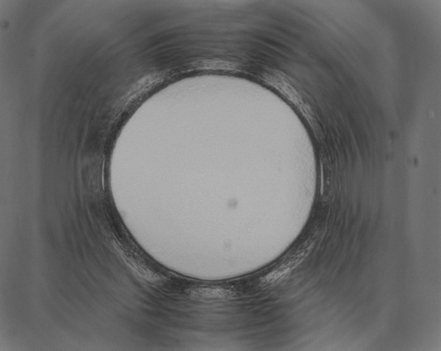 X0000087360253200705181159