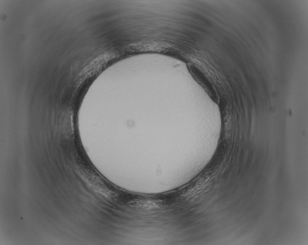 X0000087360254200705181159