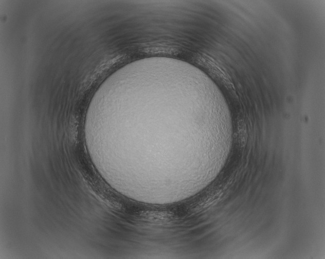 X0000087360255200705181159