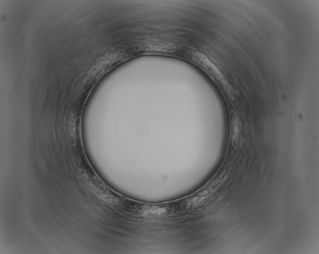 X0000087360257200705181159