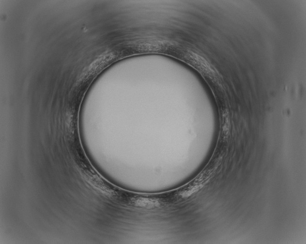 X0000087360258200705181159