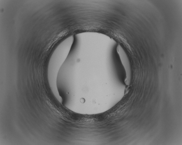 X0000087360260200705181159