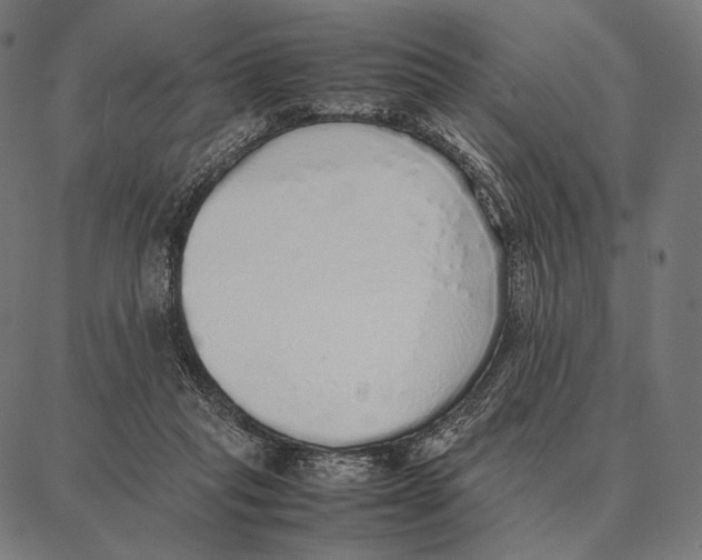 X0000087360261200705181159