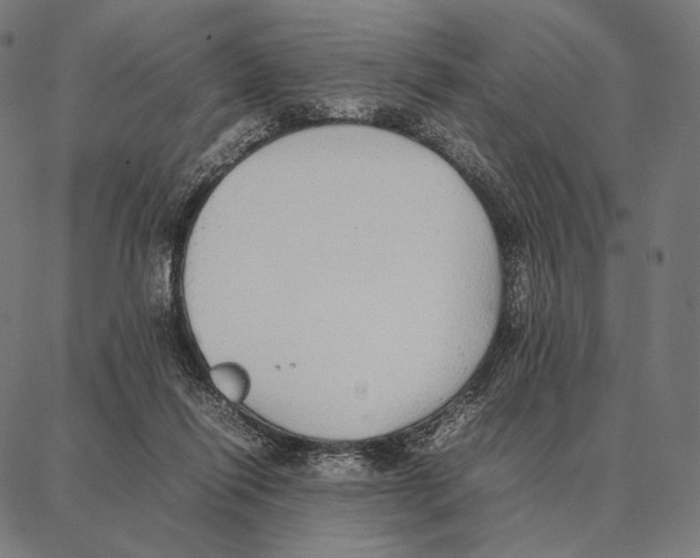 X0000087360262200705181159