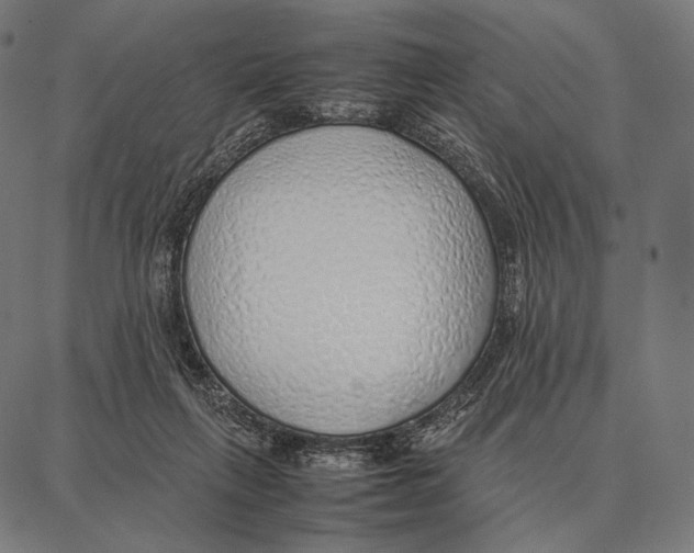 X0000087360263200705181159