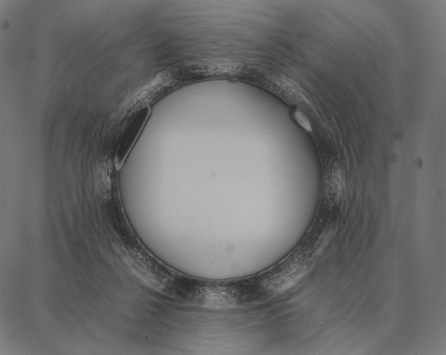 X0000087360264200705181159