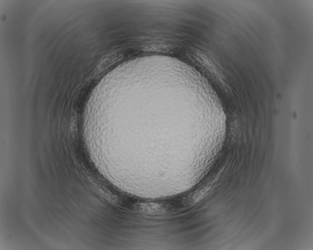 X0000087360265200705181159