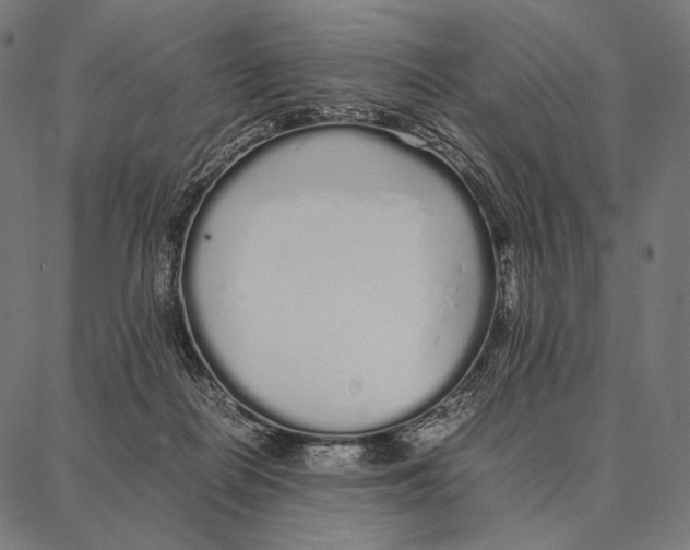 X0000087360266200705181159