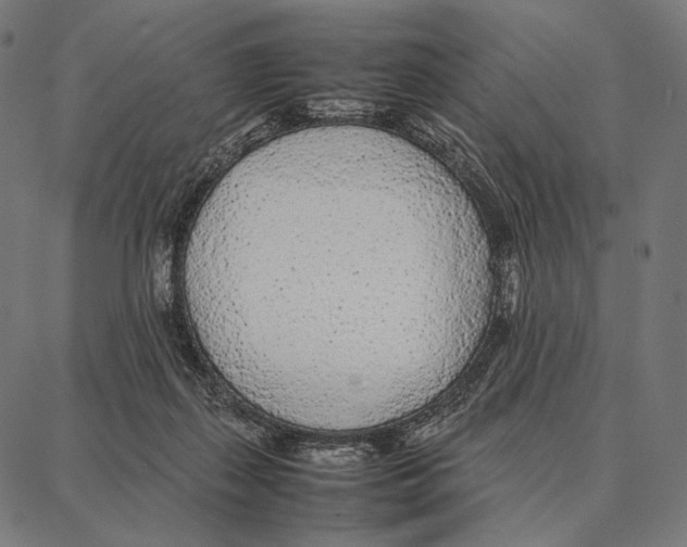 X0000087360267200705181159