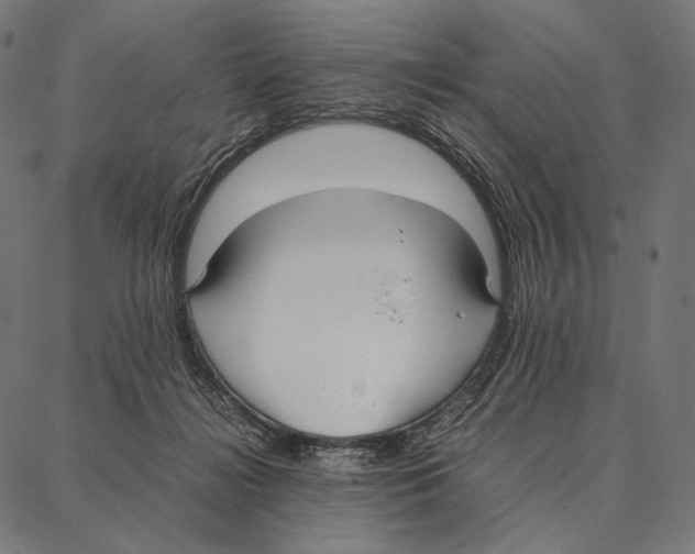 X0000087360268200705181159