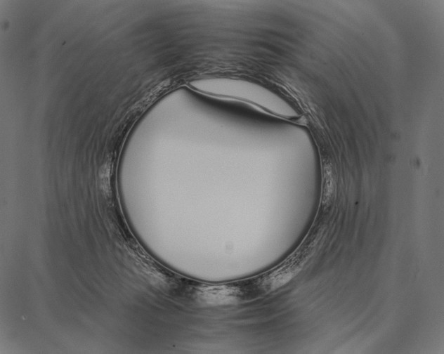 X0000087360269200705181159