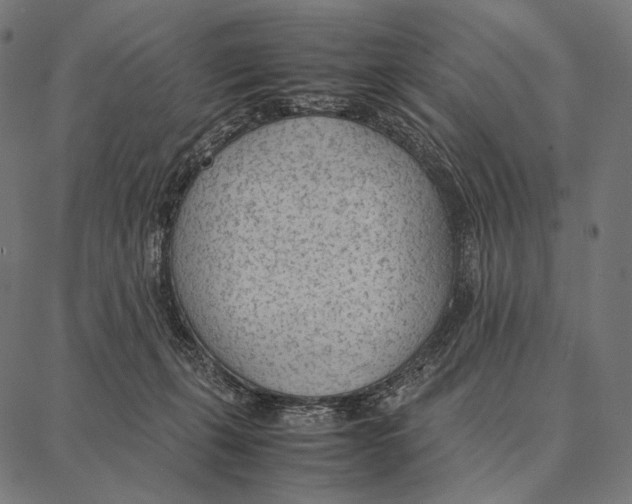 X0000087360271200705181159