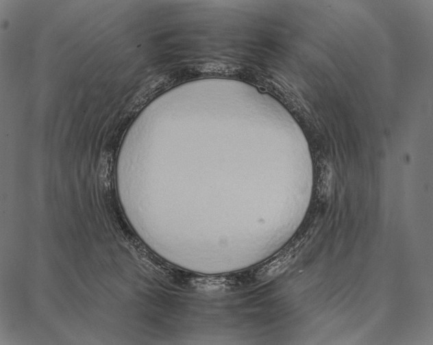 X0000087360273200705181159